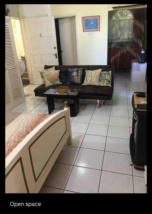 #D1 castle STUDIO WIFI KING bed Ocho Rios Jamaica Exterior foto